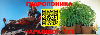 мяу мяу мука Бийск