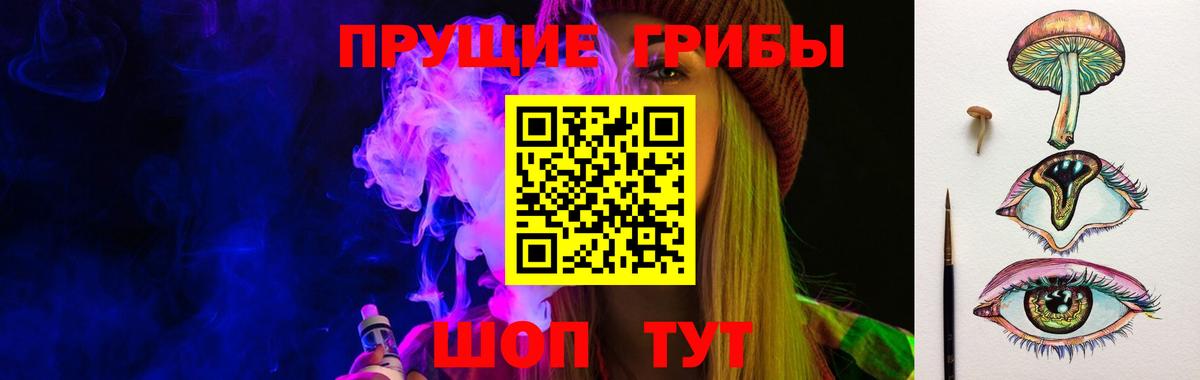 Галлюциногенные грибы Cubensis  Вход с VPN  Кинель 